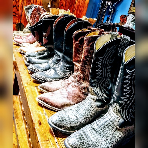 Meet your Posher, Serena - Picture 4 of 7